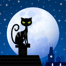 Black cat and moon