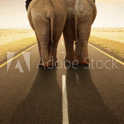 Conceptual - Going away together / travel by road