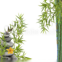 concept nature détente, bien-être, relaxation