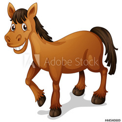 Horse cartoon