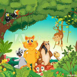 Animals in the forest