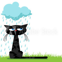 Funny unhappy cat and rainy cloud