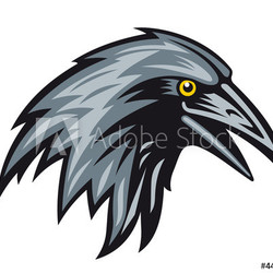 Black raven