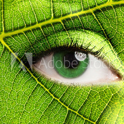Leaf eye