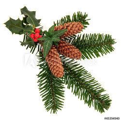 Decorative Winter Spray