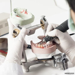 Dental technician working with articulator