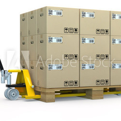 Handhubwagen mit Palette voller Kartons