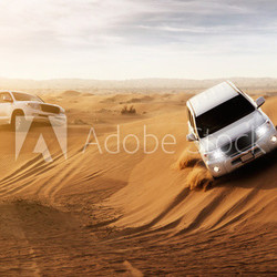 Desert Safari