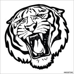 Tiger head silhouette - isolated on white background