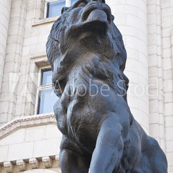 lions in from of sofia court