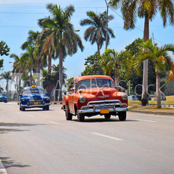 American classic cars in Havana.