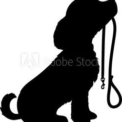 Dog and Leash