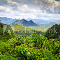 Rainforest of Khao Sok National Park in Thailand