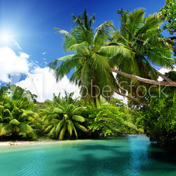 lake and palms, Mahe island, Seychelles