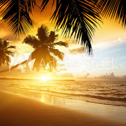 sunset on the beach of caribbean sea