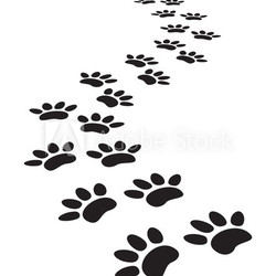 animal paw prints