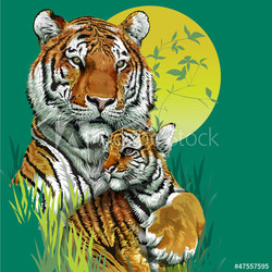 Tiger family in jungle. Vector illustration
