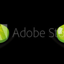 Eyes of cat on black background