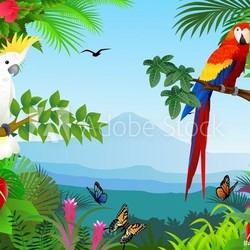 Bird in the beautiful forest