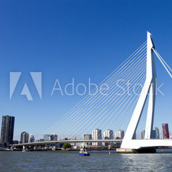 Erasmus bridge - Rotterdam