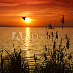 cuando el mar se pinta de rojo