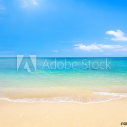 beach and tropical sea