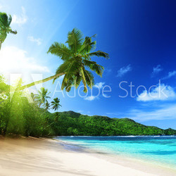 beach in sunset time on Mahe island in Seychelles