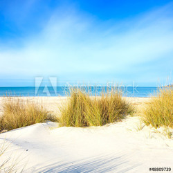 Grass on a white sand dunes beach, ocean and sky