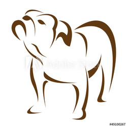 Vector image of an dog (bulldog) on white background