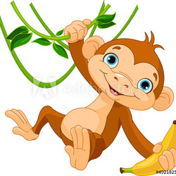 Baby monkey on a tree