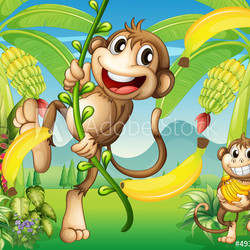 Two monkeys near the banana plant