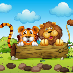 A lion and a tiger hiding