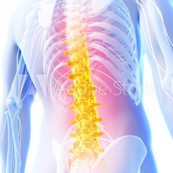 3d rendered illustration - backache