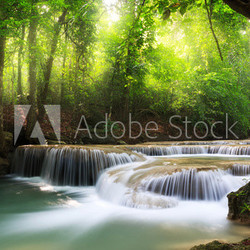 Deep forest waterfall