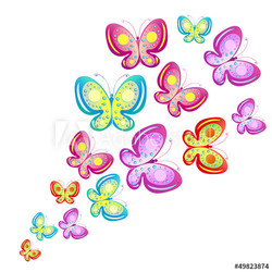 butterfly,butterflies vector