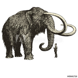 A huge mammoth in front of a little man