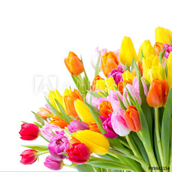 bunter Blumenstrauß