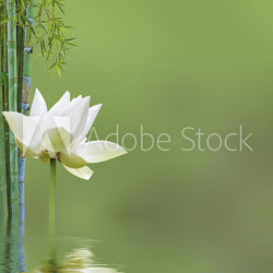 décor relaxant asiatique