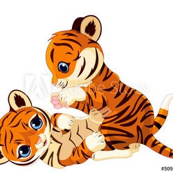 Cute playful tiger cub