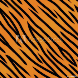 Tiger Stripe Pattern