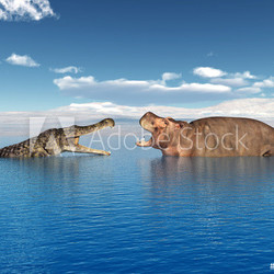 Flusspferd mit Krokodil