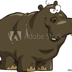 Hippopotamus
