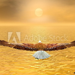 Eagle going to the sun - 3D render