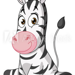 Baby zebra