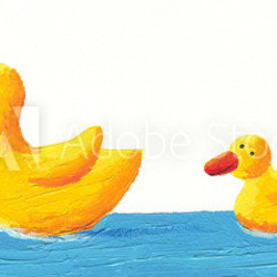 Mother and baby duck