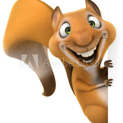 Fun squirrel