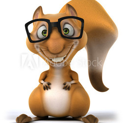 Fun squirrel