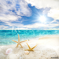 Gute Reise: Sommerurlaub am Meer