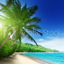 beach in sunset time on Mahe island in Seychelles