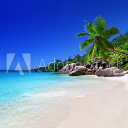 beach at Praslin island, Seychelles